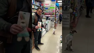 Выбор подарка 🎁