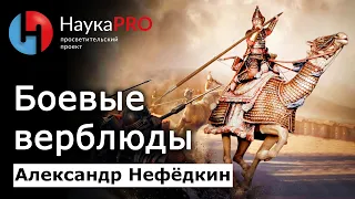 Боевые верблюды – Александр Нефёдкин | Лекции по военной истории | Научпоп | НаукаPRO