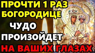 ПРОЧТИ МОЛИТВУ ЧУДО ПРОИЗОЙДЕТ НА ВАШИХ ГЛАЗАХ! Сильная Молитва Богородице. Православие