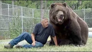 Фантастическая история о человеке и медведе !  Fantastic story about a man and a bear!