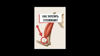 Как укрепить сухожилия?