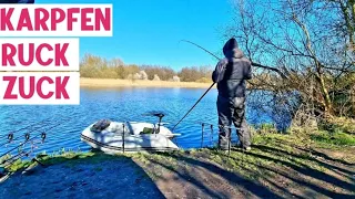 Karpfen Satt im Frühjahr 2023. Fisch auf Fisch