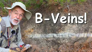 B Type Veins in Porphyry Copper Systems