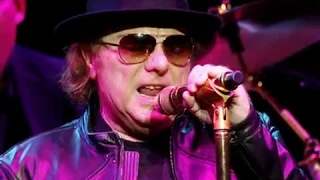 Van Morrison - Hold On George