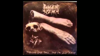 Pungent Stench – For God Your Soul - For Me Your Flesh (1990)