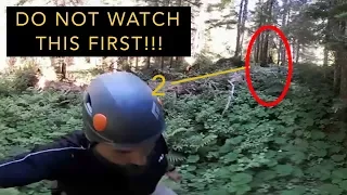 ANSWER TO: How Many Times Can You Spot Bigfoot in this 360° Video?