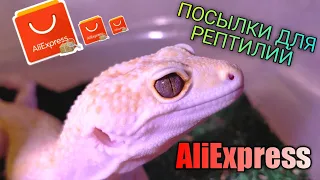 РАСПАКОВКА ПОСЫЛОК С ALIEXPRESS ДЛЯ РЕПТИЛИЙ / ЭУБЛЕФАРЫ / БОРОДАТЫЕ АГАМЫ