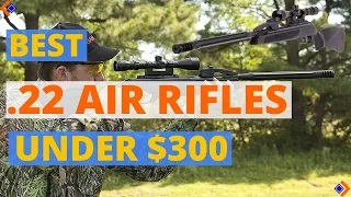 6 Best .22 Air Rifle 2024 | Best Air Rifles Under $300.