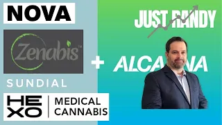 CEO Zach Always Wanted This Deal? Zenabis and SNDL Stock Update