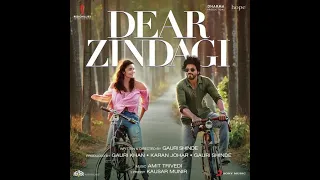 Love You Zindagi Song by Amit Trivedi#lyricvideo