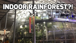 INDOOR Rainforest?! - CA Academy of Sciences & More #1