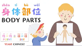 Body Parts in Mandarin Chinese | 中文身体部位 | Talking Flashcards in Mandarin Chinese | 身体部位词卡