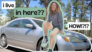 My Honda Accord Car Camping Set Up (2022 UPDATED)