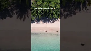 Y’a pire comme escale 😍 #tahiti #voyage #polynésiefrançaise