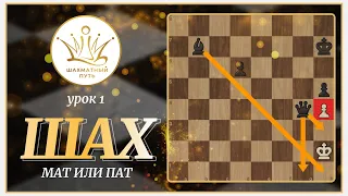 Шахматы. Урок 1. Шах Мат или Пат? Основы шахматной игры.