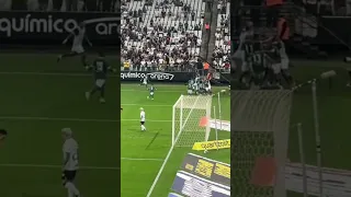 ESSA é a diferença de uma TORCIDA DE VERDADE para as outras…