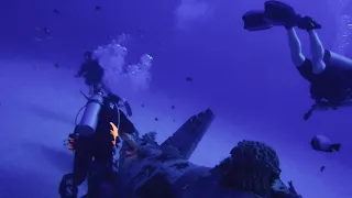 The Corsair Wreck Dive