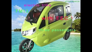 FM13 electric trike with eec supply by universeecar