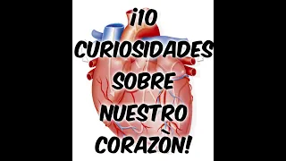 ¡Top 10 curiosidades sobre nuestro Corazón! / Resucite!! :v / Uriel SP