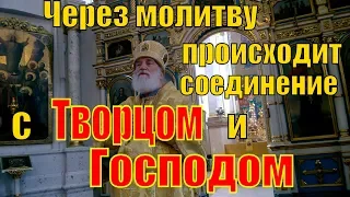 Проповедь в неделю  9 - ю , Святых Отцов шести вселенских соборов митрополита Минского Павла .