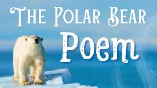 Polar Bear- Poem | Artic Animals | Kindergarten Learning | Animals | Kids Read Aloud