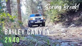 Exploring Bailey Canyon Road 2N49  |  San Bernardino National Forest