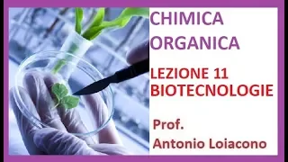 CHIMICA ORGANICA - Lezione 11 - Le Biotecnologie