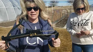 Can You Cock This 80 pound Mini Crossbow? 🤣🤣🤣