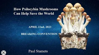 Paul Stamets - How Psilocybin Mushrooms Can Help Save the World