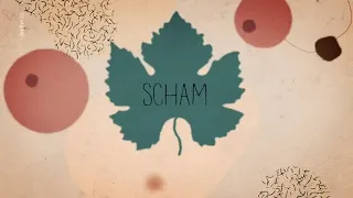 Karambolage Folge 2022 E03 - Das Schamhaar - Kärcher /Frankreich  - Deutschland / arte /