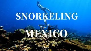 Snorkeling In Cancun 🇲🇽, Isla Mujeres, XelHa & Playa del Carmen, Mexico