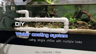 DIY Water cooling system - Single chiller with multiple tanks [Tutorial]