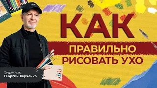 КАК нарисовать ухо? Художник Георгий Харченко