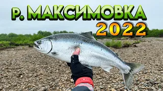 Сима 2022 на Максимовке