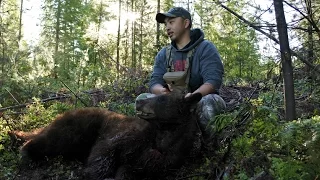 Washington State Spring Black Bear Hunt 2016