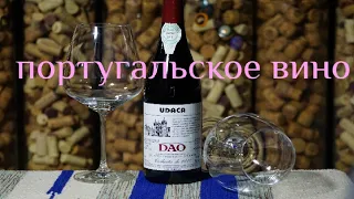 Португальское вино UDACA DAO / УДАКА Дан из Ароматного мира. Vivino 4,0 за 679 рублей.