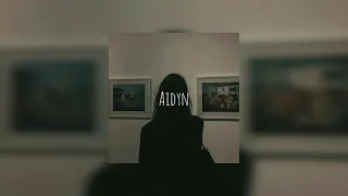 Aidyn - Дама босиком на берегу(speed up)