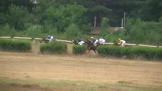 15.07.2018г. - 4 Скачка на кобылах 3-х лет чистокровной верховой породы на Нальчикском ипподроме