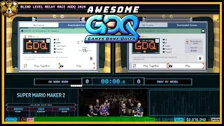 Super Mario Maker 2 by CarlSagan42, Ryukahr, GrandPooBear, BarbarousKing, and More! - AGDQ2020