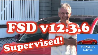 FSD Supervised V12.3.6 First Look