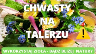 Chwasty na talerzu. Wykorzystaj zioła w kuchni. Bądź bliżej natury.