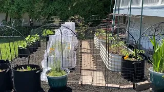 Building a small enclosed garden using Vego Raised Beds and Vigoro No-dig Fence