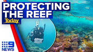 Groundbreaking technology could help save the Great Barrier Reef | 9 News Australia