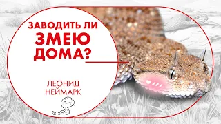 Ядовитые змеи опасны?