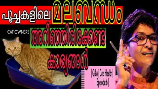 Everything You Need To Know About Constipation In Cats | Cats Health | Nandas Pets&Us |Vanaja Subash