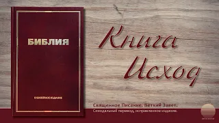 Вторая книга Моисея, Исход. Глава 15