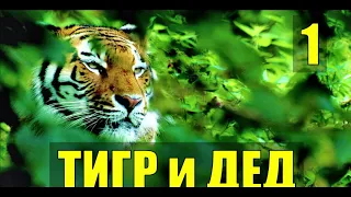 ТИГР и ДЕД СТО ЛЕТ СУДЬБА ЧЕЛОВЕКА ИЗ ЖИЗНИ В ТАЙГЕ ДОБЫЧА ЛОВУШКА ОХОТНИКИ В ЛЕСУ 1