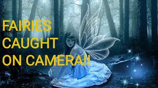 FAIRIES CAUGHT ON CAMERA!!!