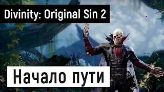 [Divinity: Original Sin 2] Начало пути 😻