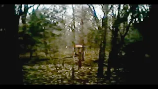 A SHOCKING TRAIL CAM FOOTAGE CAPTURED ON CAMERA!!